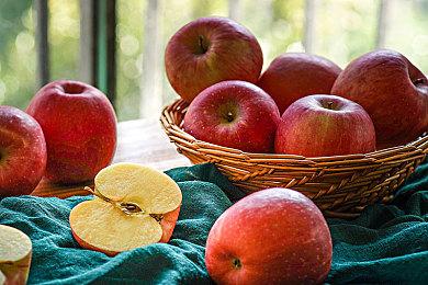 宁静冒险探索游戏《欧罗巴》4＆16登陆PC